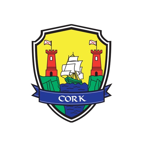 Irish County Crest Patches, Ireland Embroidered Patches, Sew On Iron On Patch - Picture 27 of 29