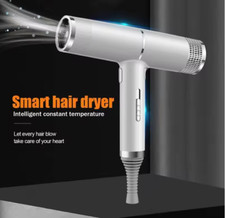2500W Hair Dryer with Diffuser Negative Ionic...