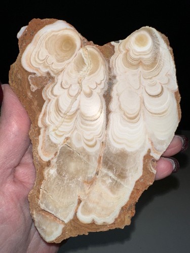 Kokoweef Cave Onyx Slab,Quartz crystal,Metaphysical,Unique,Reiki,Decor,Specimen - Picture 2 of 3