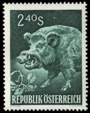 AUSTRIA 642 (Mi1064) - European Wild Boar  Sus scrofa  (pb77852)