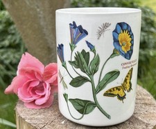 Vintage Portmeirion Botanic Garden Collection Plant Pot/utensils Crock