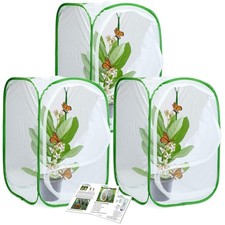 Butterfly Habitat Cage Terrarium Set
