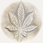 2025 Hayleybug 1/2 oz ThinMint Pot Leaf .999 silver Round