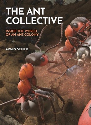 The Ant Collective: Inside the World of an Ant Colony by Armin Schieb (English)