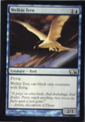 Welkin Tern - Magic 2013 (M13) #79 Common