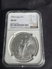 2024 American Silver Eagle Coin - NGC MS69!
