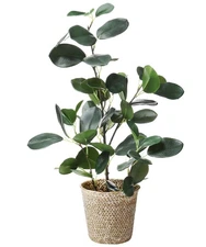 Artificial Ficus Tree Small Fake Plants in Weaved Pot 20" Height for Living R...