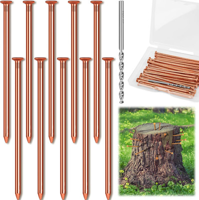 10pcs Copper Nails for Killing Trees Stump Root, 3.15 Inch Long Pure Copper Nail