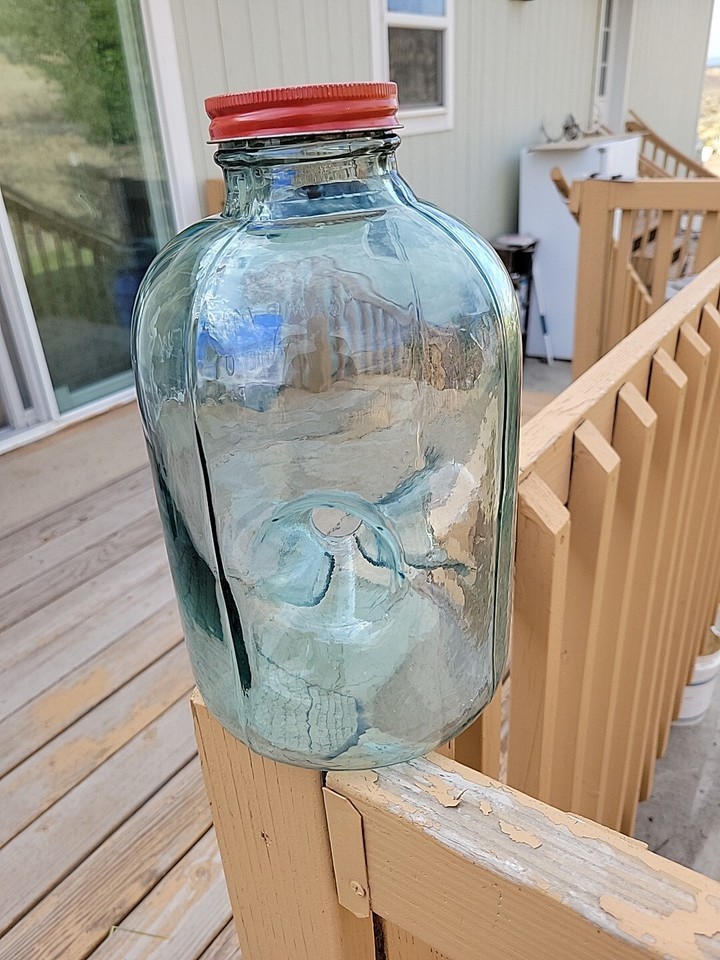 Vintage Checotah, OKLA 3 Hole Camp Minnow Trap Glass Jar w/ Lid. Minnow