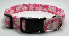 Daisy White on Pink Fabric Dog Collar Adjustable Handmade Custom Designer