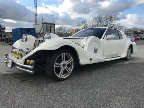 Mitsuoka-Le-Seyde-Barn-Find-Restoration-No-Reserve-Zimmer-Golden-Spirit