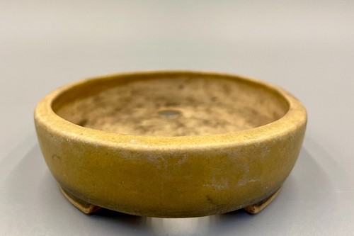 Olla Bonsái Japonesa Ovalada "WATANABE IKKO" W:5.1 pulgadas/L:3.9 pulgadas/H:1.0 pulgadas de JAPÓN #121 - Imagen 5 de 12