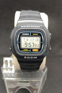 casio dw 300