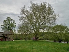 The Gideon Gilpin House at the Brandywine Battlefield Historic Site in Chadds