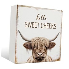 Highland Cow Bathroom Decor - Hello Sweet Cheeks Bathroom 5 X 5 Highland Cow-02
