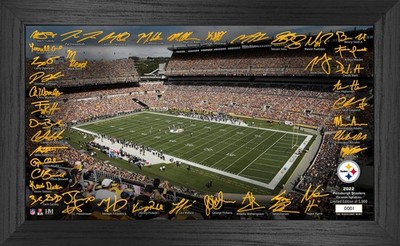 Pittsburgh Steelers Highland Mint NFL Stadion GRIDIRON Bild 22/23