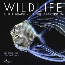 Wildlife Photographer of the Year 2019: Die schönsten Naturfotos