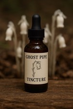 Ghost Pipe Tincture   Handcrafted  Wildcrafted  Small Batch