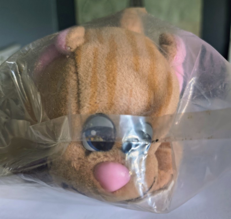 pound puppy orange cat 1980's new In package vintage collectible
