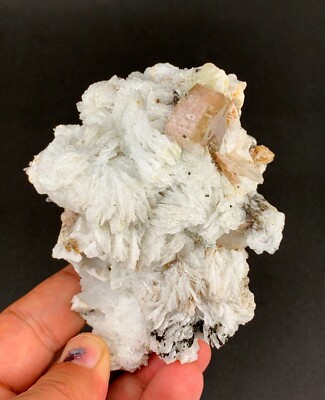 Aesthetic Bi-Colour APATITE Fluorescent Crystal Based on Rose