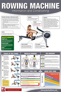 Gym Wall Charts