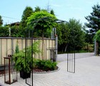 Bild 4 von 12
