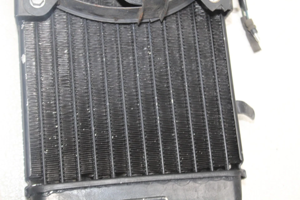 1988 HONDA SHADOW 800 VT800 MOTOR REFRIGERADOR RADIADOR RADIADOR DE REFRIGERAÇÃO COM VENTILADOR - Imagem 3 de 4