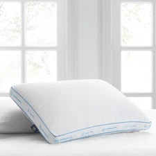 Sertapedic Extra Firm Standard/Queen Bed Pillow, Hypoallergenic