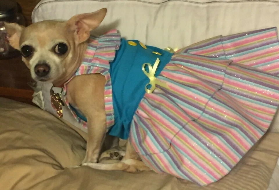 Vestido de verão listrado brilhante primavera/páscoa para cachorro pequeno - Imagem 2 de 2