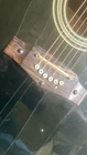 Picture 5 of 10
