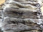 Professionally Tanned #1 Xxl Raccoon/Coon Hide/Furs/Pelts/Taxidermy /Crafts