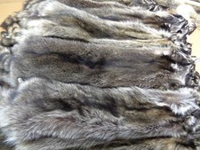 Professionally Tanned 1 XXL Raccoon/Coon Hide/Furs/Pelts/Taxidermy/Crafts