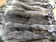 Professionally Tanned #1 XXL Raccoon/Coon Hide/Furs/Pelts/Taxidermy/Crafts