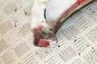 Bild 2 von 6