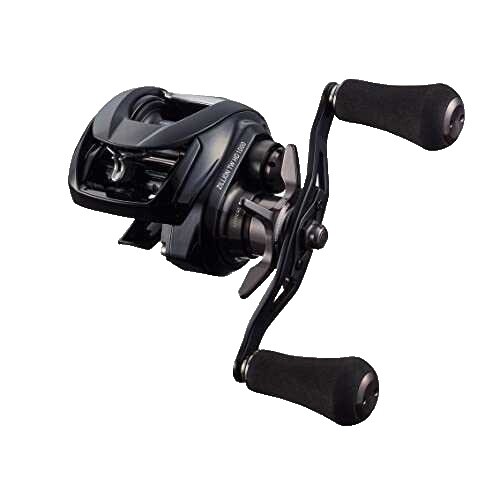 DAIWA 08 AGGREST PE 100HL Baitcasting Reel Fishing Gear | eBay