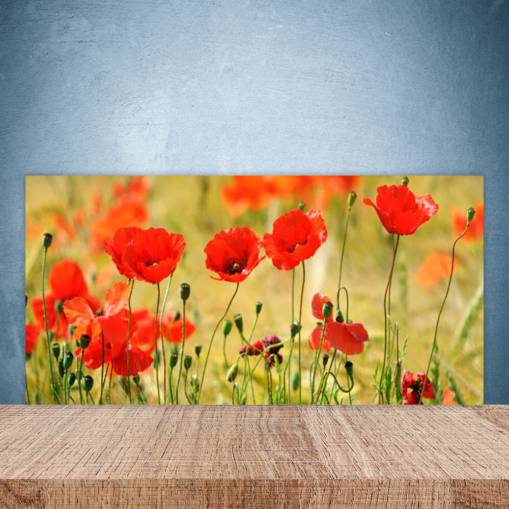 Crédence de cuisine en verre fond de hotte mural 100x50 rouge