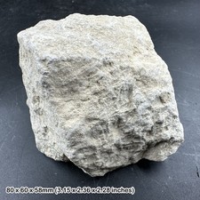 Purbeck limestone - teaching