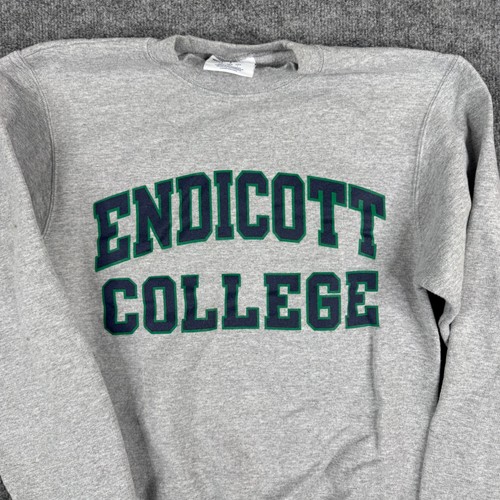 Champion Sweatshirt Mens Size S Gray Endicott College Crewneck Athletic Pullover