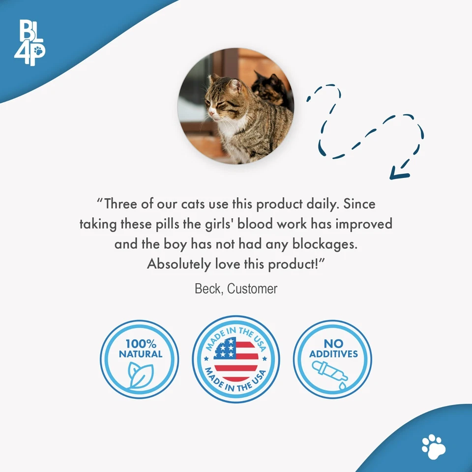 Cat UTI Remedy & Kidney Support for Cats - Image 2 of 4