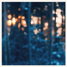 Replica Surfaces Forest Glow Photography Backdrop 100 Authentic Background