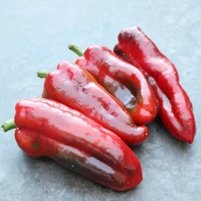 20 Fresh Harvest of Sweet New Marconi Red Premium Pepper Seeds-B 49