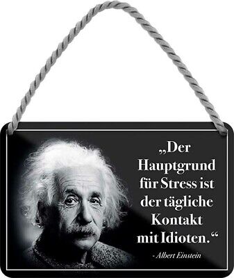 Der Hauptgrund Fur Stress Einstein Spruch Zitat Hangeschild Blechschild C0247 Ebay