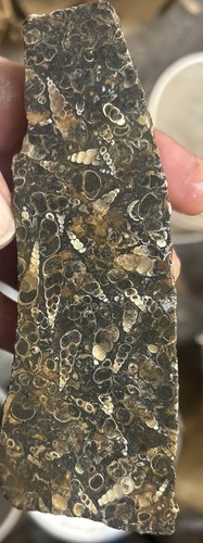 Turtilla agate rough 6 Pieces 5 Pounds 14 Ounces - Picture 11 of 17