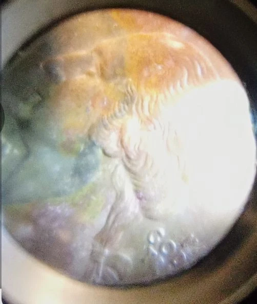 Quarter Dollar  California Rare Coin 1850-2005 - Image 2 of 2