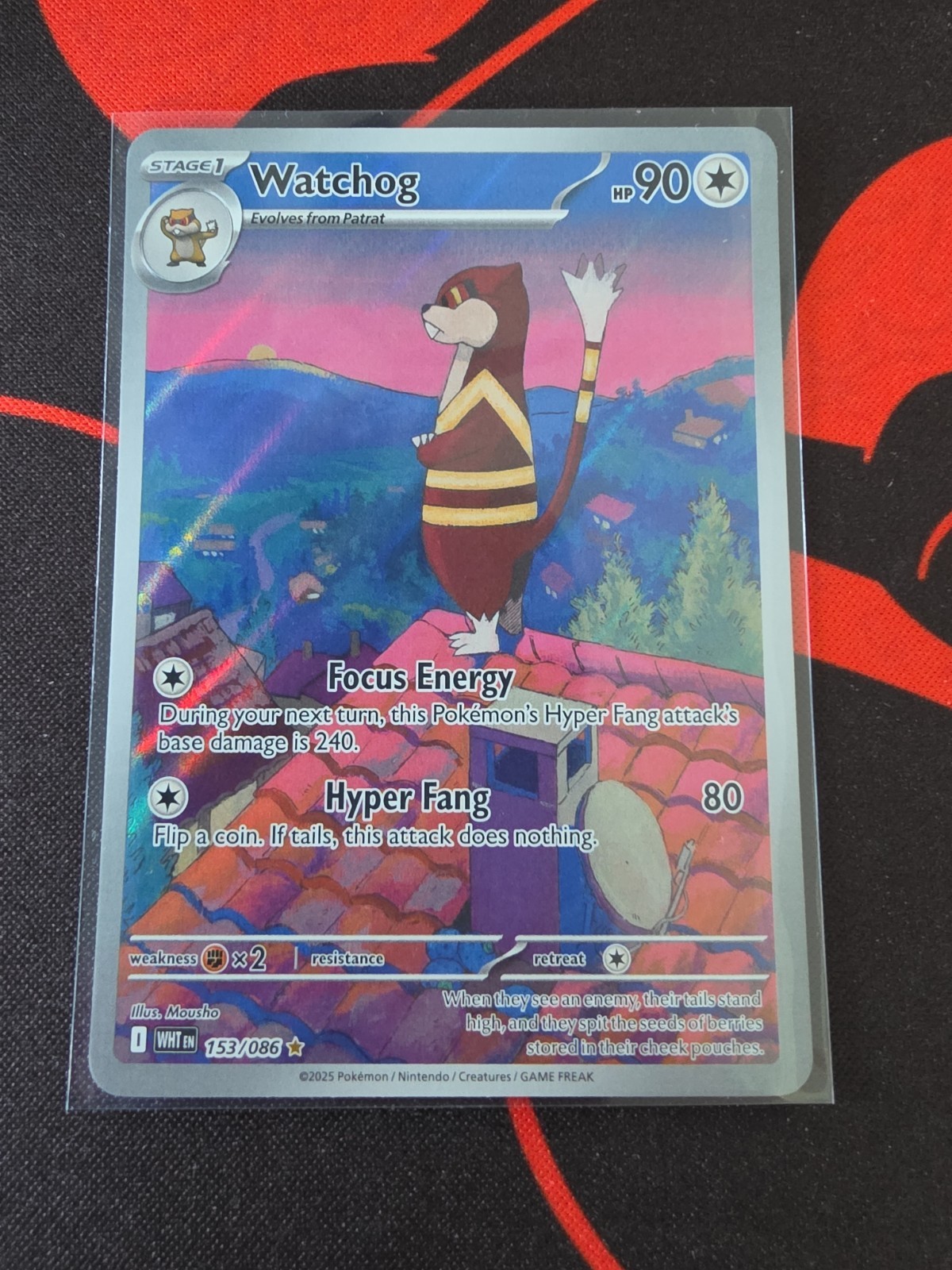 Watchog - 153/086 White Flare NM Illustration Rare Pokemon TCG
