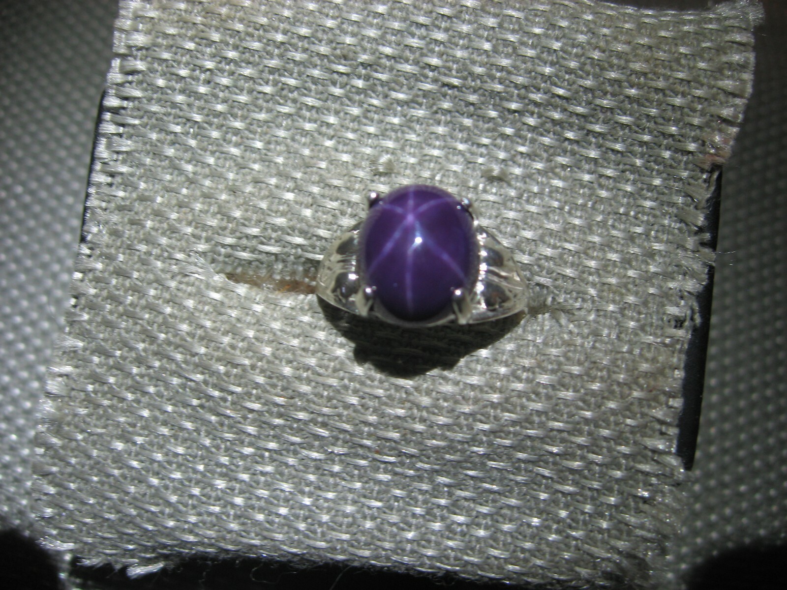 Picture 6 of 6
