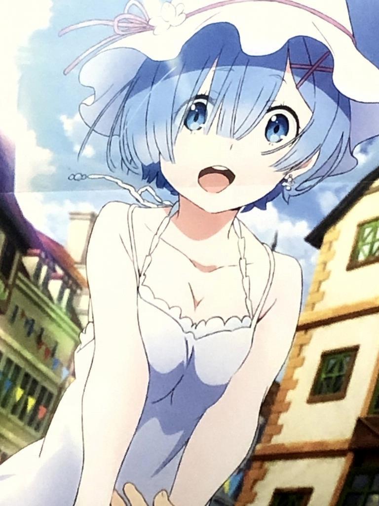 Re:Zero Starting Life in Another World REM Long Posters Set