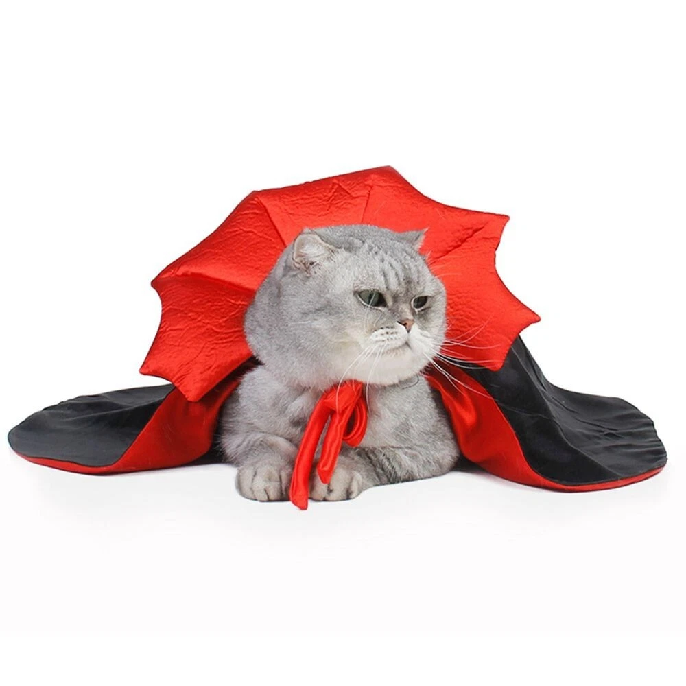 Vampire kitty clearance costume