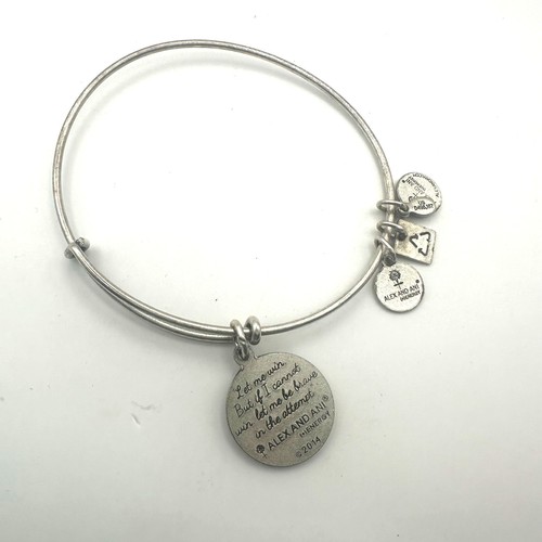 Alex and Ani +Energy Special Olympics silver tone charity charm bracelet - Picture 8 of 8