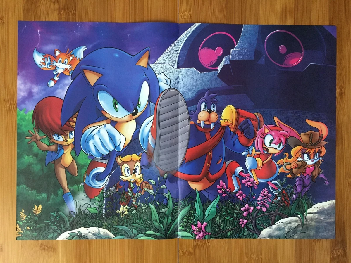 Official Sonic the Hedgehog 2-Sided Poster Shadow/Metal Sonic Spaziante Art  RARE